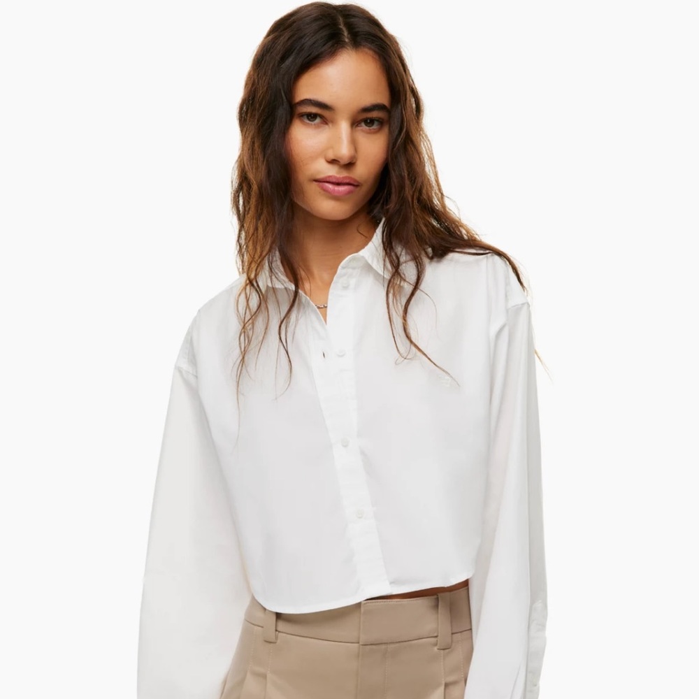 Aritzia Sunday Best Poppy Poplin Shirt